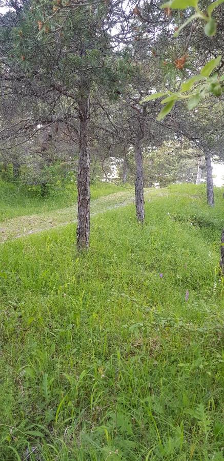 Camping La Chabannerie Hotel Saint-Martin-de-Clelles Esterno foto